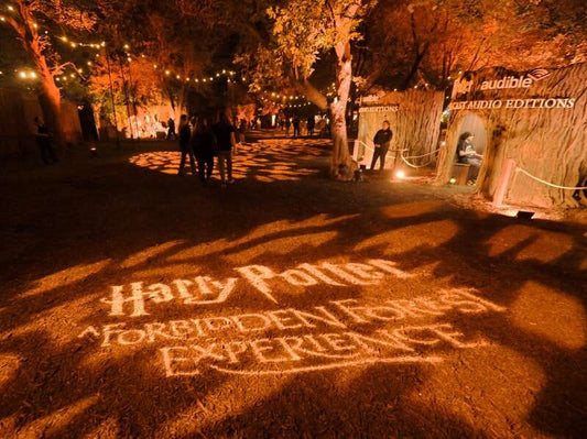 Harry Potter Experience Brings Touch of Magic!
