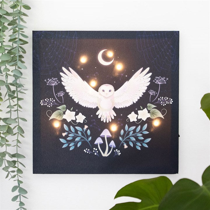 Night Owl Light Up Canvas Wall Art