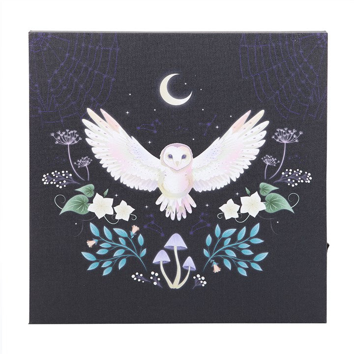 Night Owl Light Up Canvas Wall Art