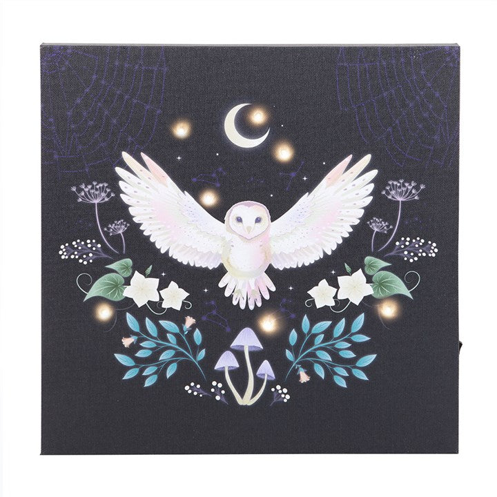 Night Owl Light Up Canvas Wall Art