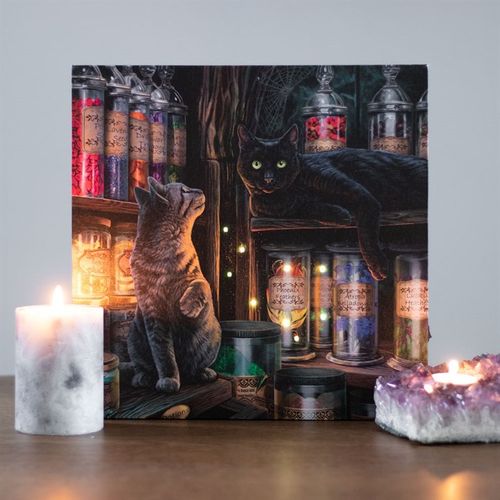Magical Emporium Light Up Canvas Wall Art