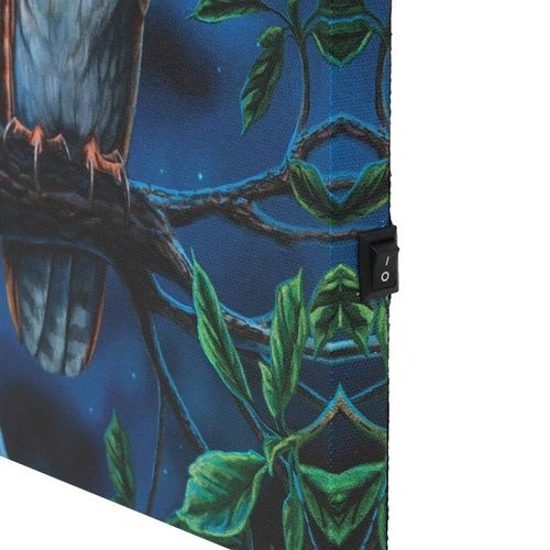 Fairy Tales Light Up Canvas Wall Art