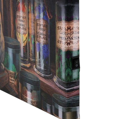 Magical Emporium Light Up Canvas Wall Art