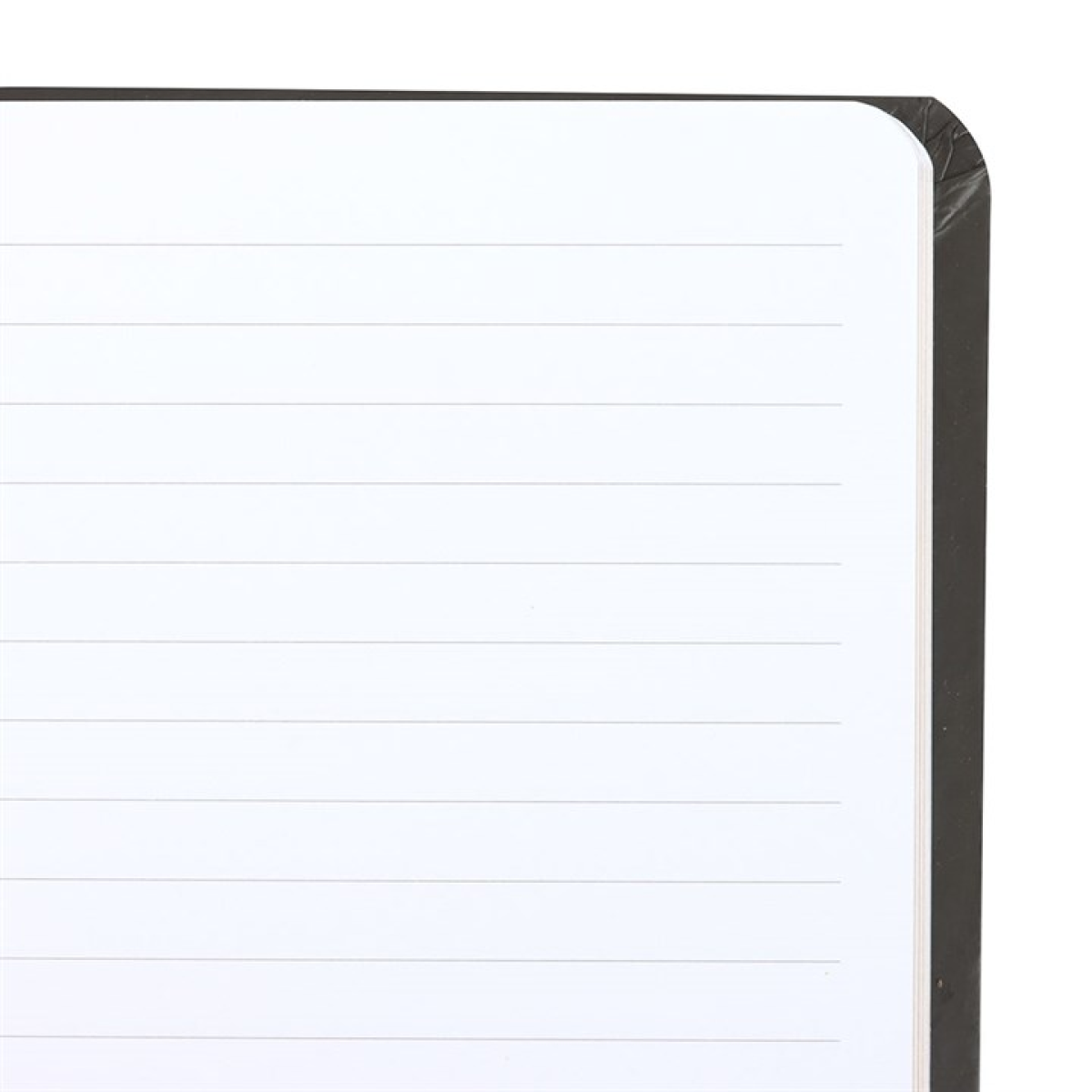 Good Witch Bad Witch Reversible Notebook