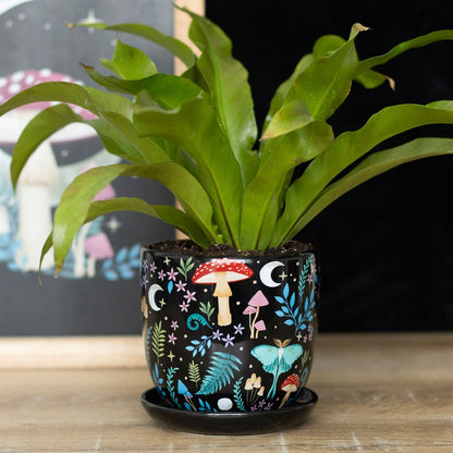 Enchanted Forest Ceramic Plant Pot with Saucer