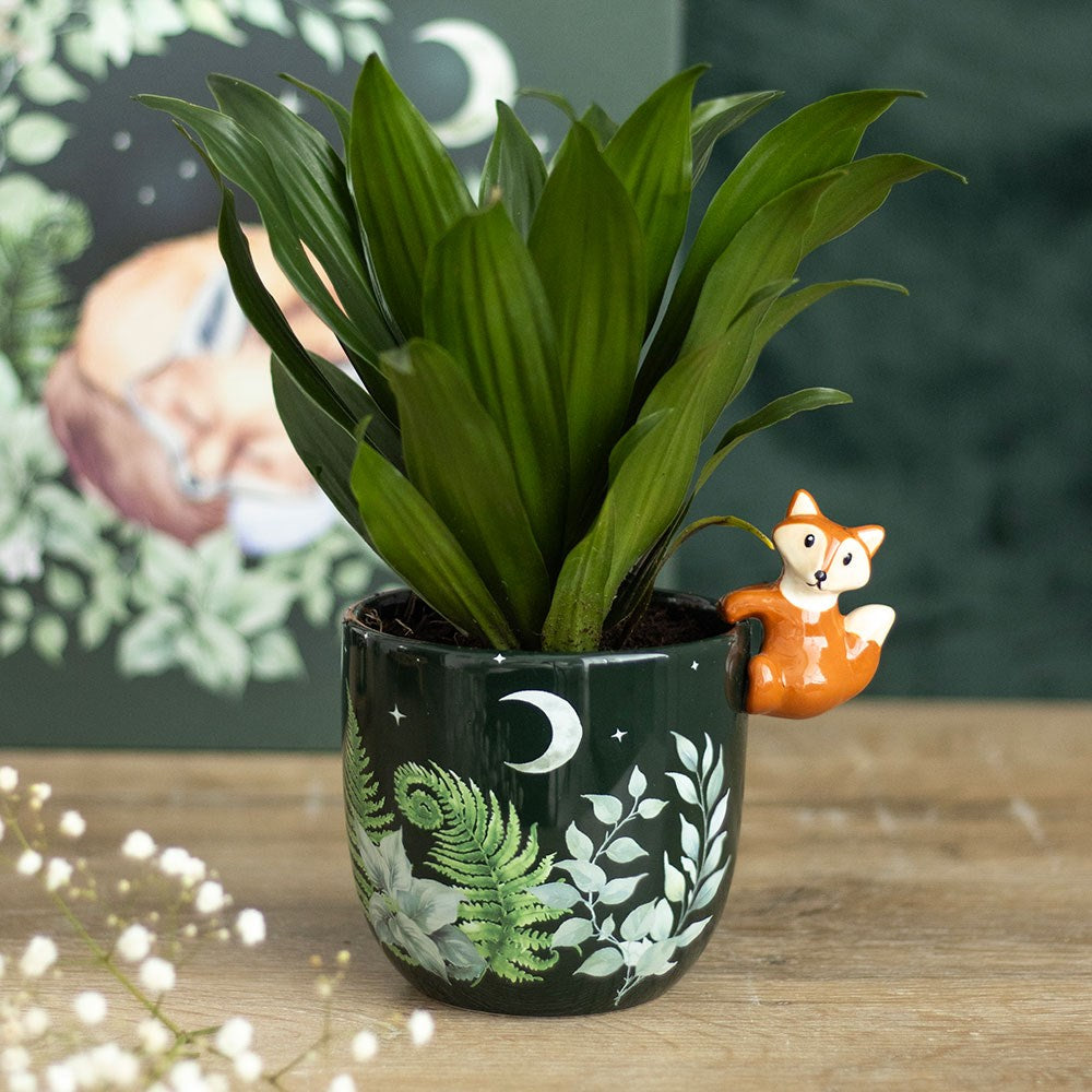 Potted plant with a decorative pot featuring nature-themed designs on a wooden surface.
