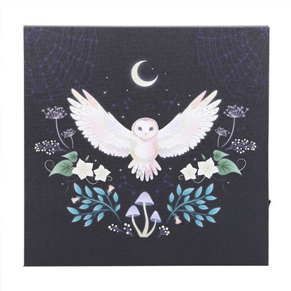 Night Owl Light Up Canvas Wall Art