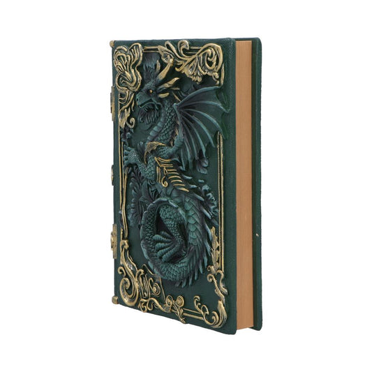 Dragon's Grimoire Journal