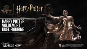 Harry Potter Duel Voldemort Figurine