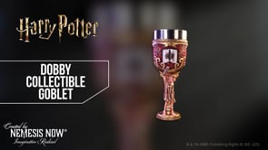 Harry Potter Dobby Collectible Goblet
