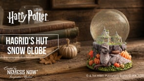 Harry Potter Hagrid's Hut Snow Globe