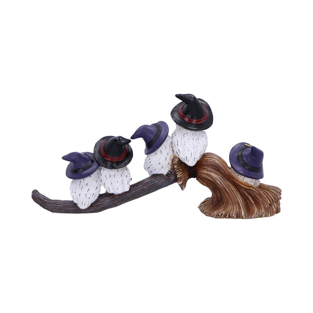 Feathered Owls Broomstick