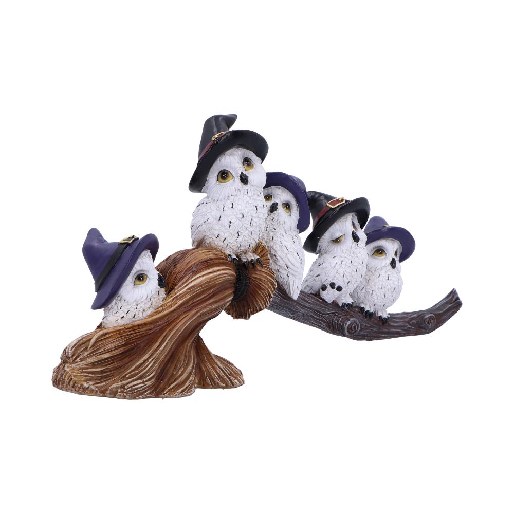 Feathered Owls Broomstick