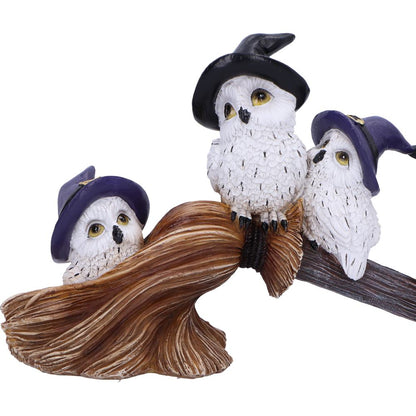 Feathered Owls Broomstick