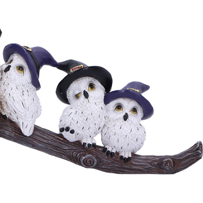 Feathered Owls Broomstick