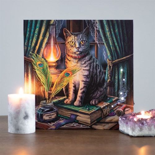 Book of Shadows Light Up Canvas Wall Art
