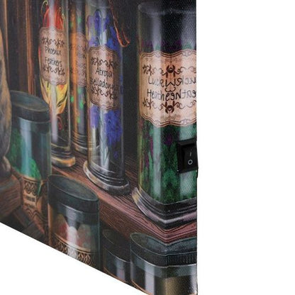 Magical Emporium Light Up Canvas Wall Art
