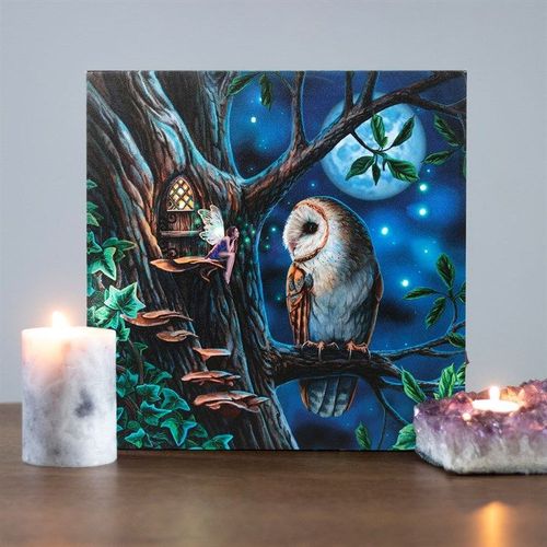 Fairy Tales Light Up Canvas Wall Art